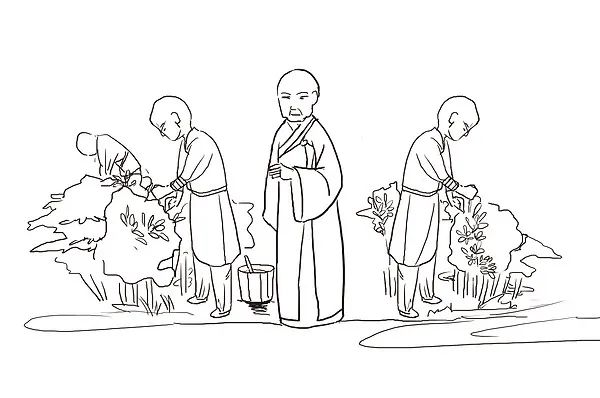 循着高僧大德们的足迹，一探好茶的前世今生