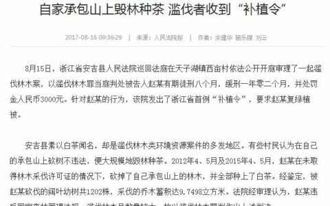 茶界黑料:屡禁不止的毁林种茶,今年在你身边的茶区发生了吗？