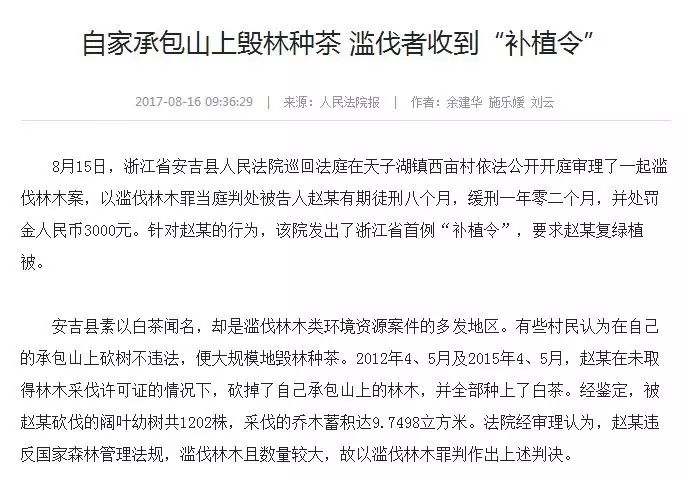 茶界黑料:屡禁不止的毁林种茶,今年在你身边的茶区发生了吗？