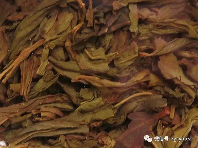 超实用主流茗茶样本图:怕买到黑心假茶?请先对照这15款茶叶外形