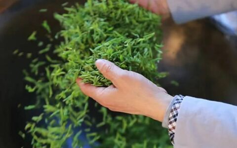 开学第一课：和茶托女友喝2次茶花费21万！茶圈骗术又披上什么新外套？