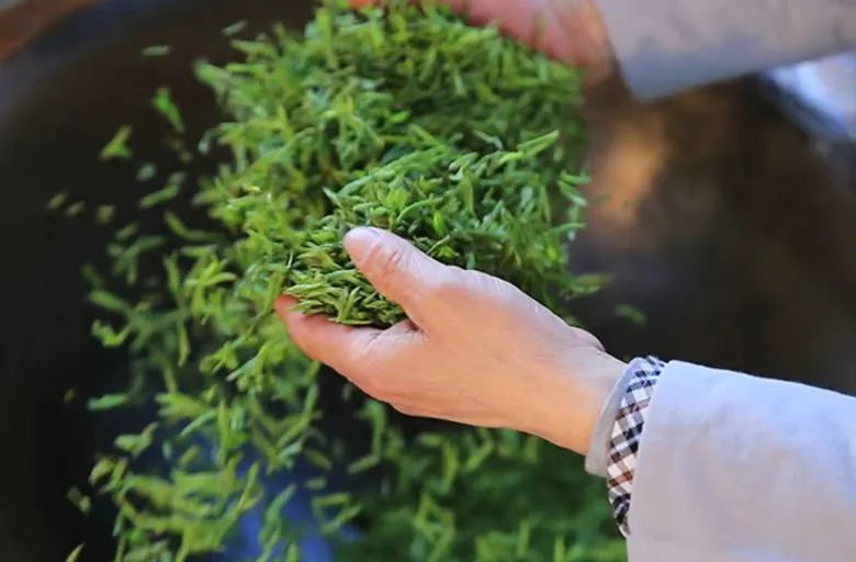 开学第一课：和茶托女友喝2次茶花费21万！茶圈骗术又披上什么新外套？