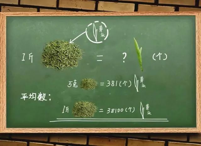 如果泡一泡茶没有称怎么办？一斤茶有多少芽头？趣味茶叶冷知识快收藏