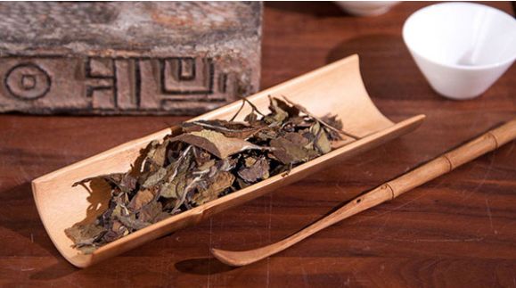 这篇万字超长文教你读懂关于白茶的几乎所有细节！可收藏作工具书使用