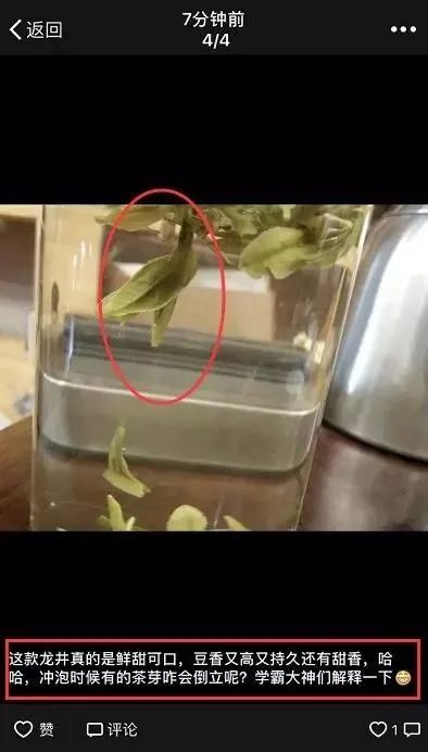 验证绿茶界“倒立现象”，我们做了这个实验