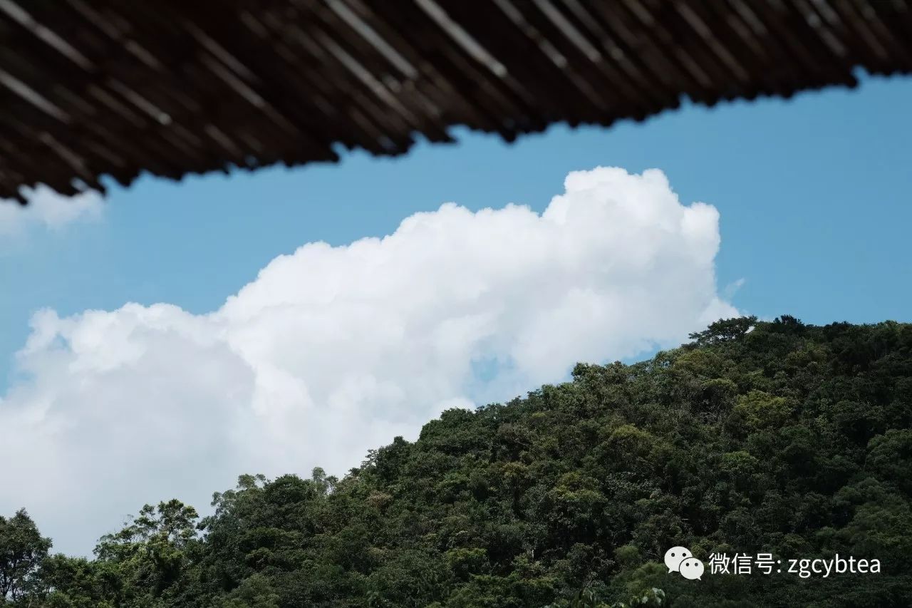 一个台湾资深媒体人眼中的两岸茶界十年