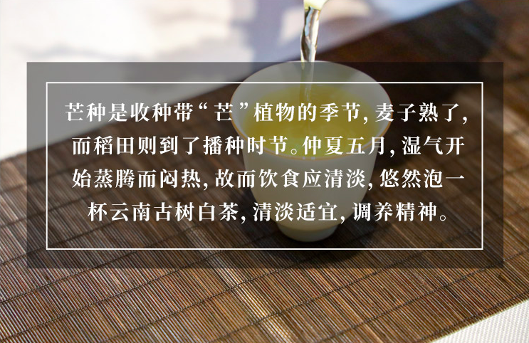 今日大寒丨人间至此冬色尽，春暖花开不久时，2022“虎年”超值福利时令茶单，为你新年健康添活力！
