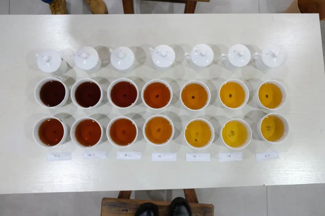 什么是普洱茶风味轮？茶叶专家周红杰教授为你详解普洱茶风味知识