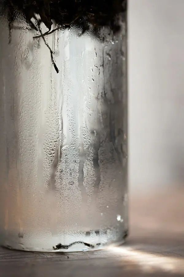 喝钱是种什么体验我们不知道，我们只知道喝茶穷一生！