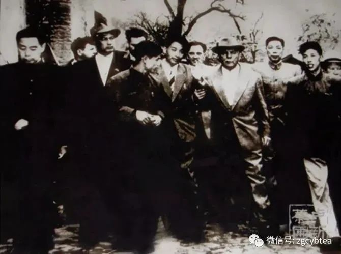 这些与西湖龙井“宿命缠绵”的制茶大师们