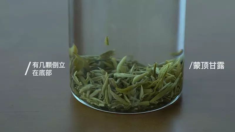 一口气泡了17款绿茶,验证是否只有龙井才能在茶汤中倒立?