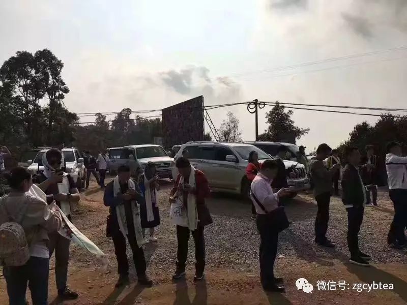 他们把班章村挤成菜市场，将易武堵成帝都，用生命演绎茶山怪象！