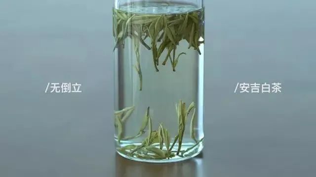验证绿茶界“倒立现象”，我们做了这个实验