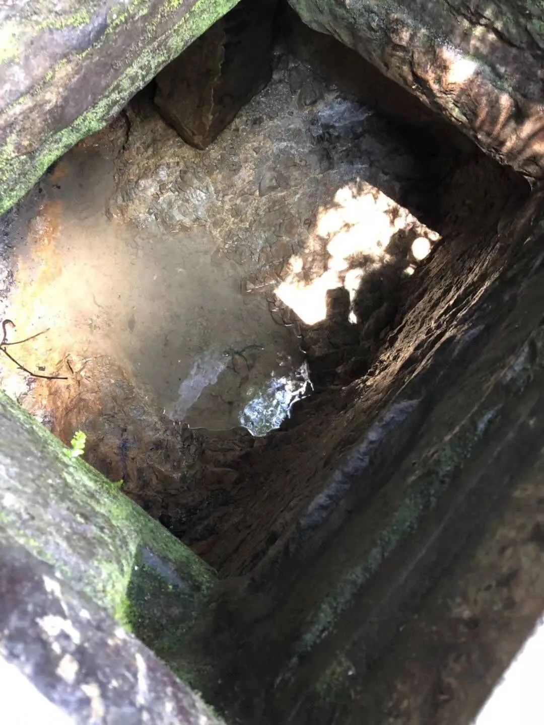 不想家里蹲，出门找优质山泉水泡茶去了！！！