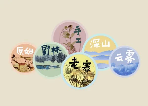 打造普洱爆款第一步，集齐原始秘境/无人区/千年古树/古法这些词汇