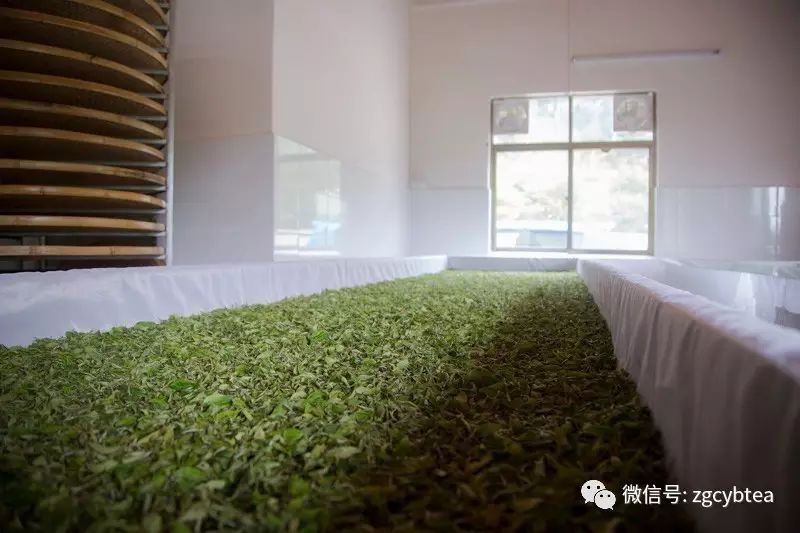 全国2862个县中它毫不起眼,却用牛肉丸和白溪茶氤氲了客家山乡梦
