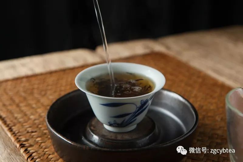 变质发过霉的茶叶你都敢喝?普洱茶专家周红杰详解变质茶叶到底能不能喝?