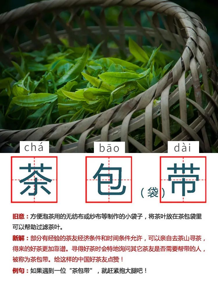 没有这一部《节操词典》，怎么跟紧时代的步伐