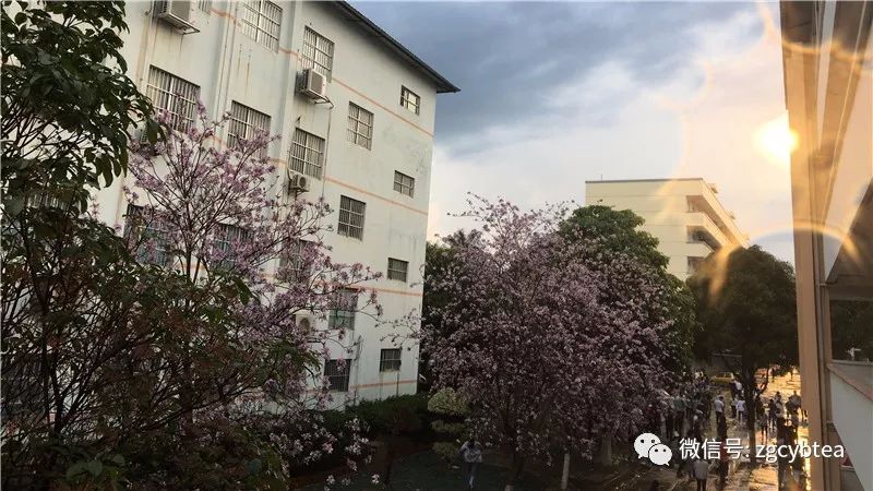 用了282.3元，六步把破旧老房子改造成雅致茶室