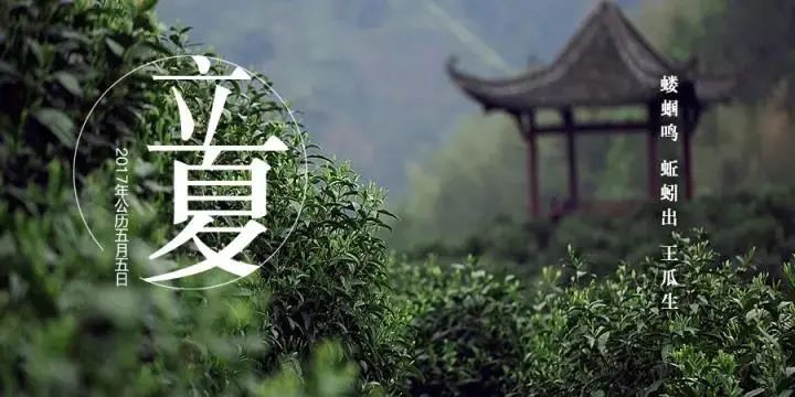 今日大雪，为什么喝茶要配合节气？除了养生更怕你买到假茶!