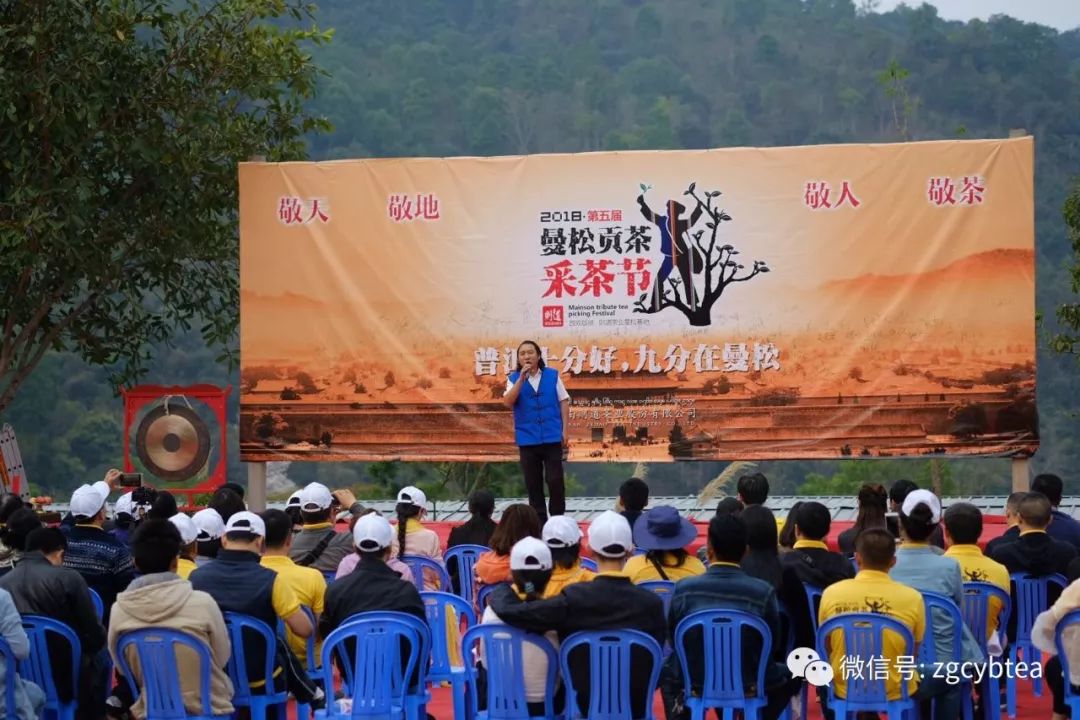 茶界香格里拉-传说中的曼松到底长什么样?图文揭秘长在森林中的古茶园