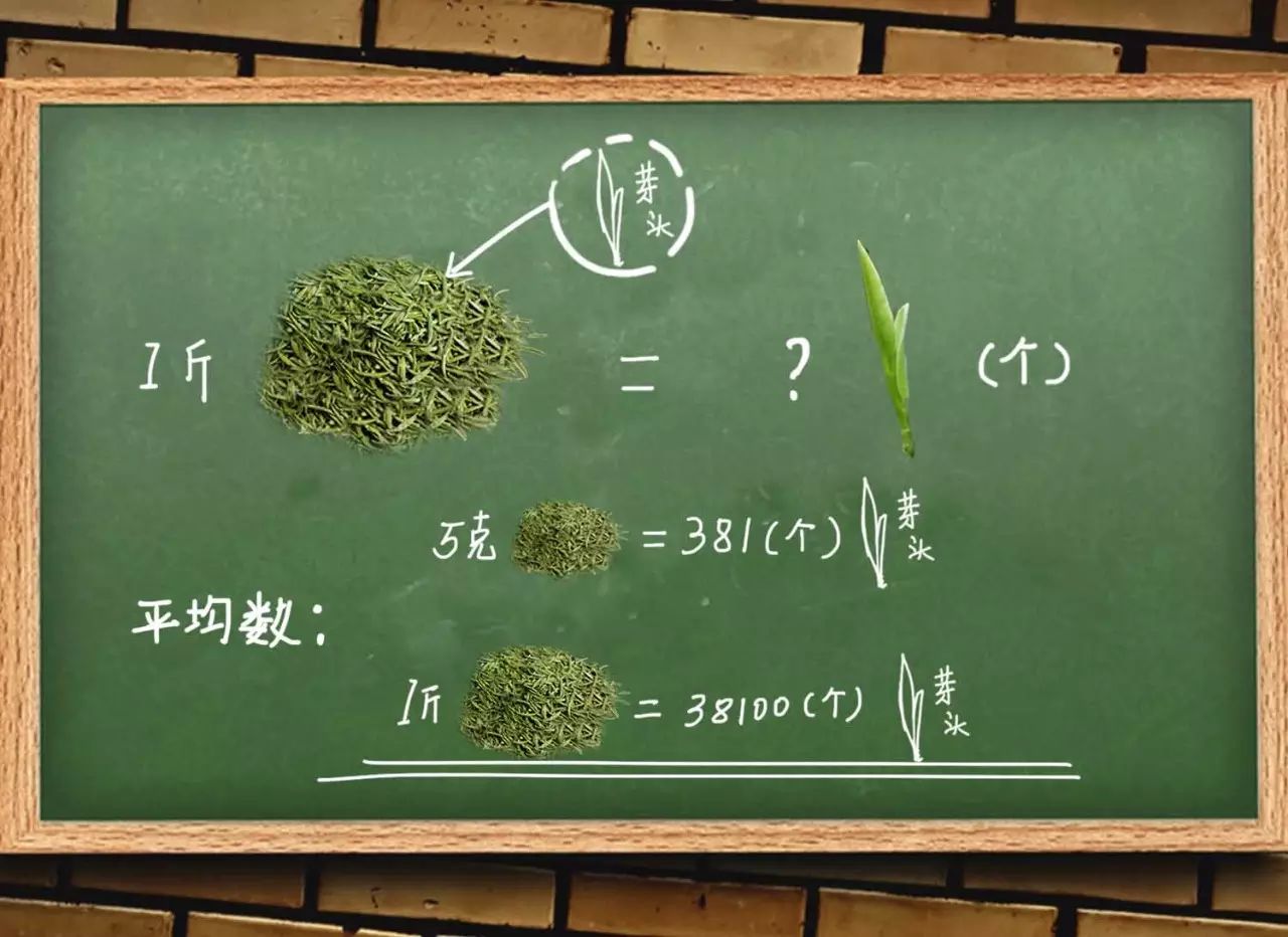 一斤茶多少芽头？普洱茶饼周长多少？看完这些黑知识感觉能量满满