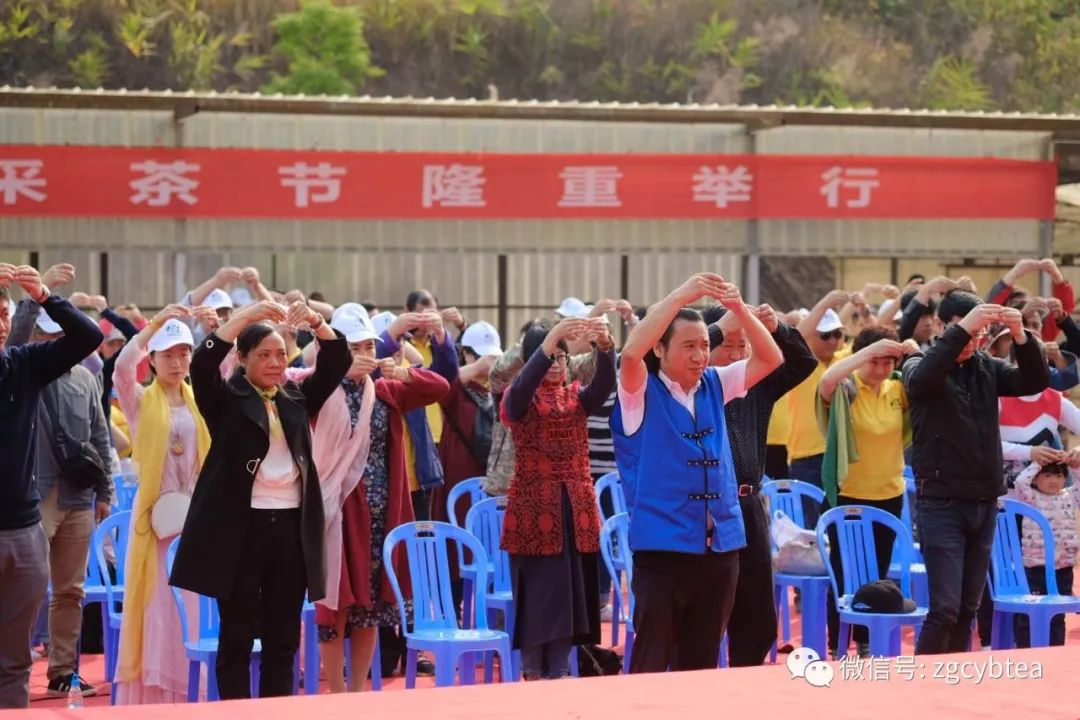 茶界香格里拉-传说中的曼松到底长什么样?图文揭秘长在森林中的古茶园