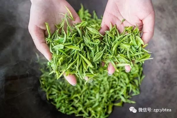 杀青用刀？炒青放油？你对制茶工艺的“青”误解太深
