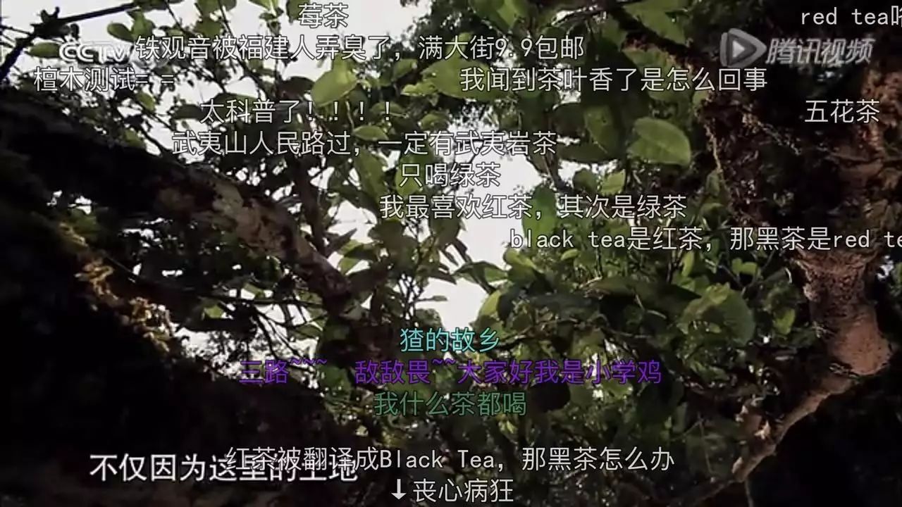 想让年轻人买茶？你得先透过茶叶纪录片上的“弹幕”了解他们！