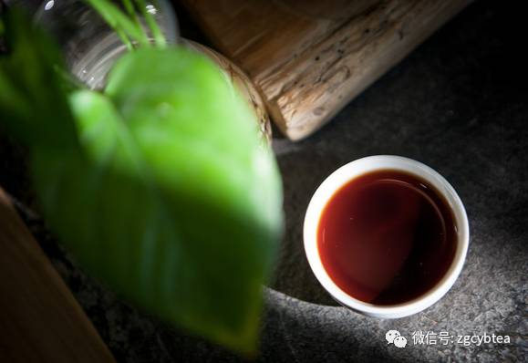 10分钟读懂熟普香气层次要领!你只会用'陈香'做评语的历史就此翻篇