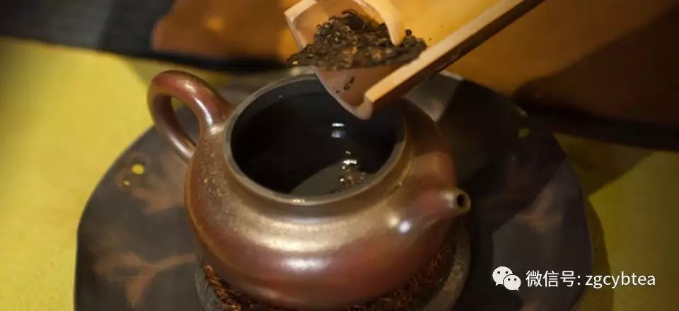 畅销境外半世纪的六堡茶，国内茶圈却有80%的人没喝过它的正味！