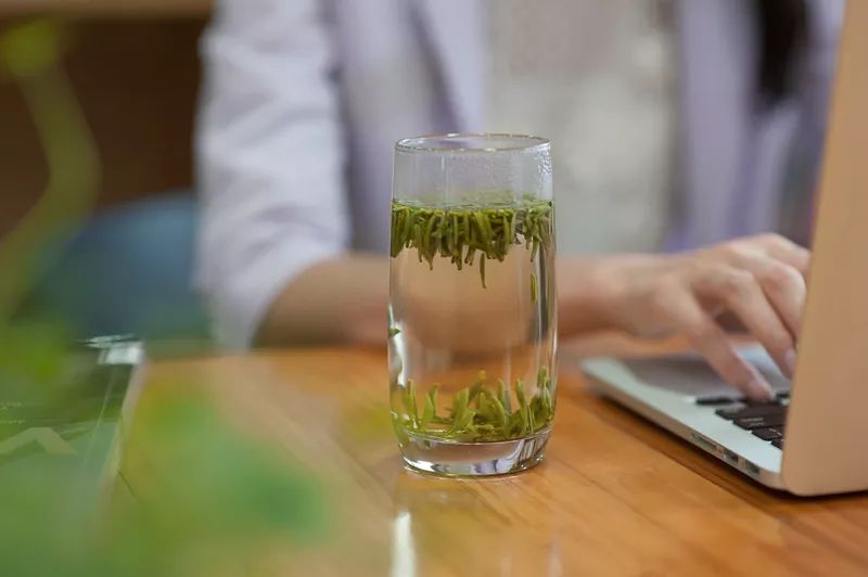 可能这份茶学专业职业规划书对你来说晚了点,但是否可以把它转给还没毕业的学弟学妹?