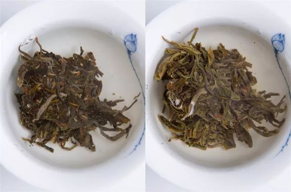 为什么别人泡出来很好喝的茶，我泡出来像假茶？普洱茶冲泡指南