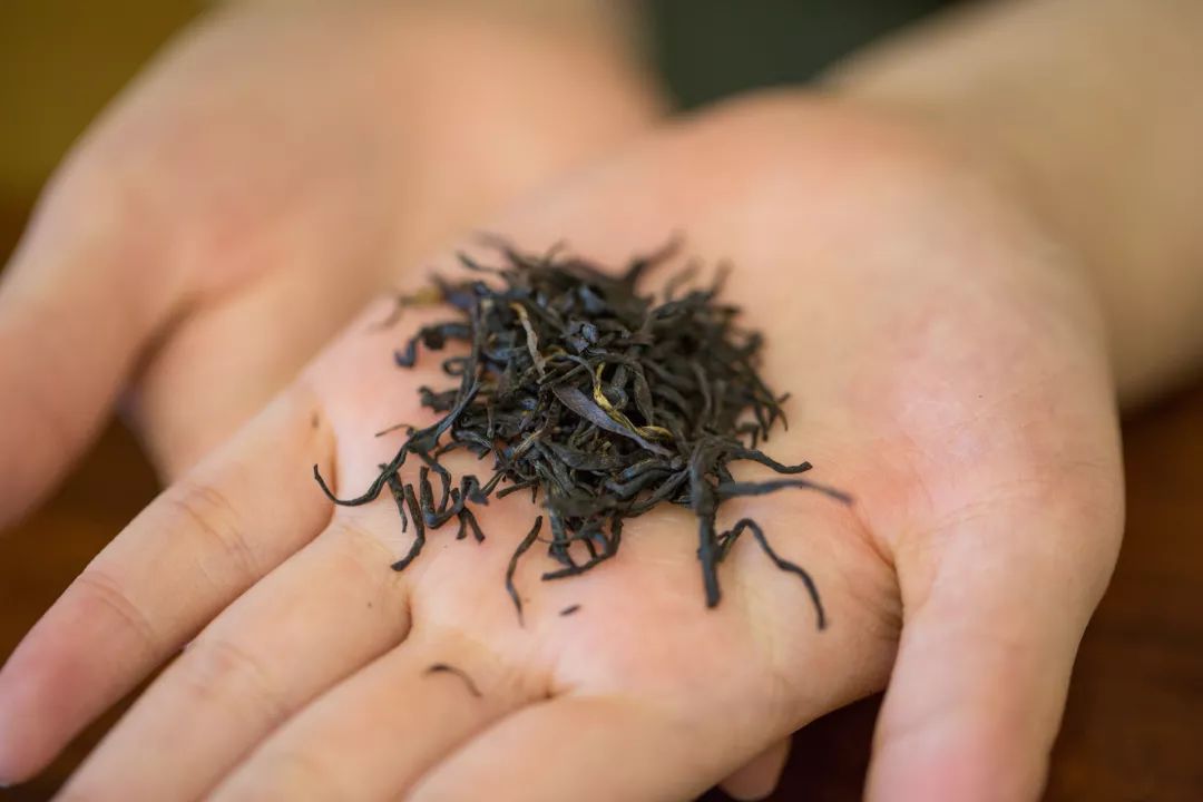 我们用6种茶叶做香薰，结果一办公室的人都围着香薰机“醉生梦死”！