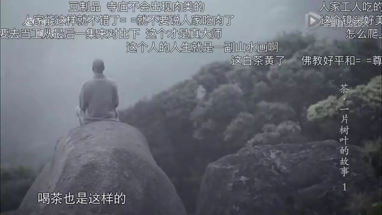 想让年轻人买茶？你得先透过茶叶纪录片上的“弹幕”了解他们！