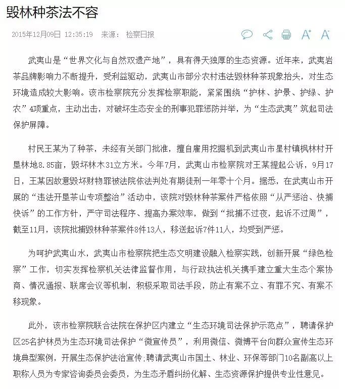 茶界黑料:屡禁不止的毁林种茶,今年在你身边的茶区发生了吗？