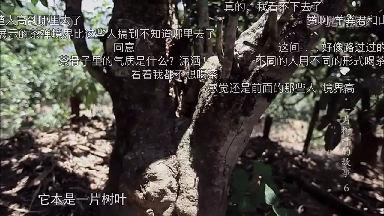 想让年轻人买茶？你得先透过茶叶纪录片上的“弹幕”了解他们！