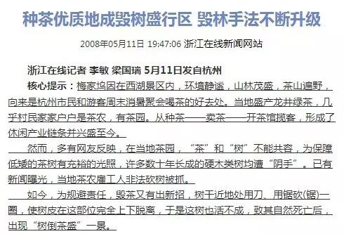 茶界黑料:屡禁不止的毁林种茶,今年在你身边的茶区发生了吗？