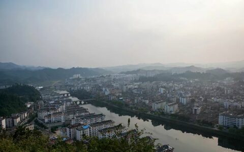 你能想象吗？从汉口到上海再到欧洲，几乎所有茶商都在等着为这款茶接驾！