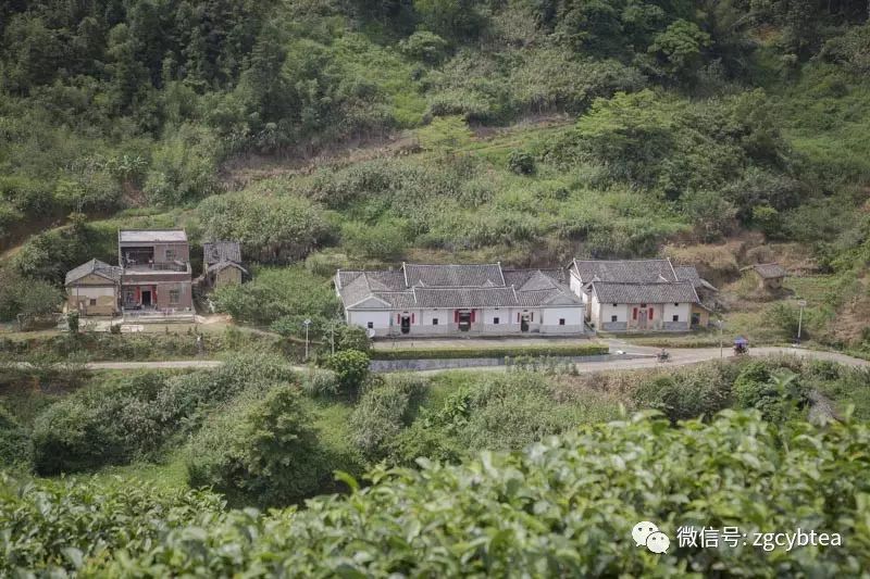 全国2862个县中它毫不起眼,却用牛肉丸和白溪茶氤氲了客家山乡梦