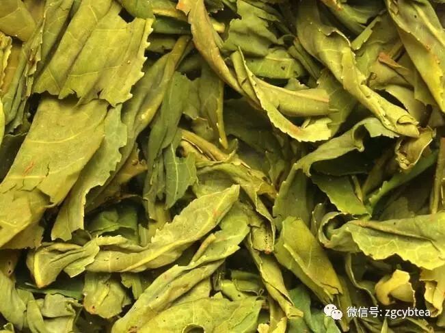 超实用主流茗茶样本图:怕买到黑心假茶?请先对照这15款茶叶外形