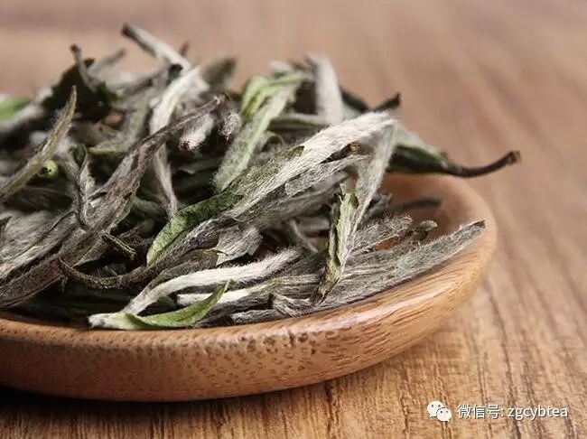 超实用主流茗茶样本图:怕买到黑心假茶?请先对照这15款茶叶外形