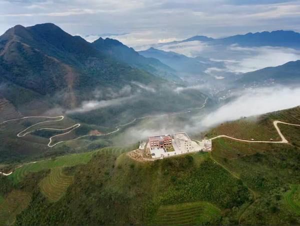 福建著名茶叶地方公共品牌IP打造哪家强？茶类区域IP管理必读！