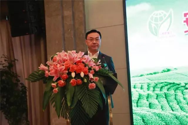 12道关于铁观音的知识问答，答对10题方可跻身“铁观音上流社会”