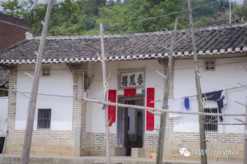 全国2862个县中它毫不起眼,却用牛肉丸和白溪茶氤氲了客家山乡梦