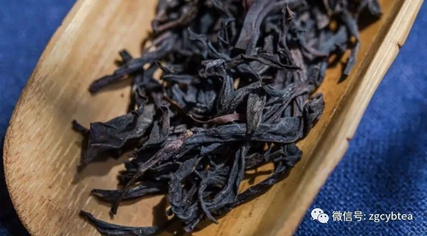 新茶做旧/绿改乌龙/存放失当,日渐火热的老单丛有哪些坑你不能跳?
