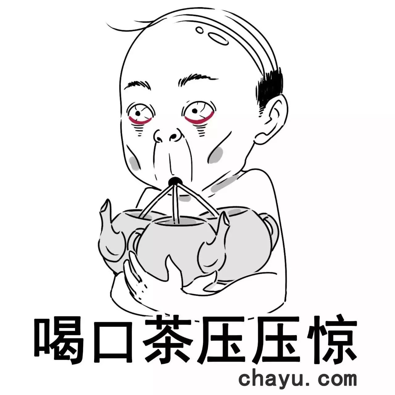 古树茶断货了?别怕,青山处处古茶树！成百上千、量大质优！