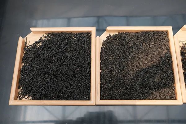滇红16问，你还能找到拒绝滇红的理由吗？