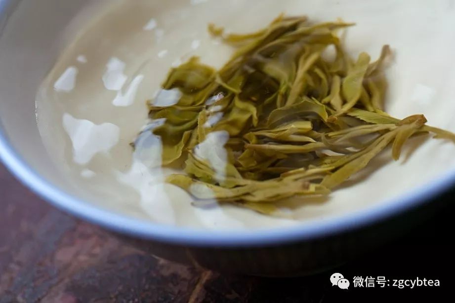 芽好，口味就好？小心被坑，不是所有的好茶都得是单芽茶！