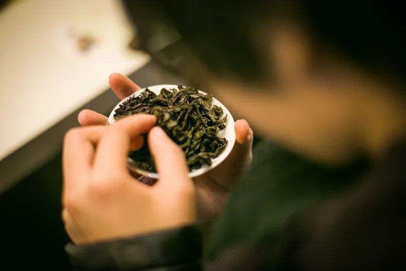 劣质茶也有味儿！闻“味”识茶，茶奥网带你甄别买茶必须规避的气味“痛点”